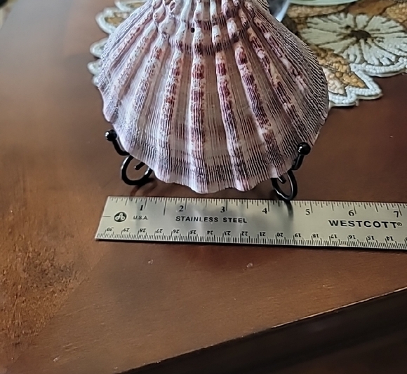 Ocean-Themed Blue and White Seashell Dish - Picture 4 of 4